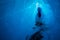 Deep blue ice inside of a glacial ice cave. This tunnel was carved by water melting the ice of the Matanuska Glacier