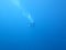 Deep blue ocean scuba diver