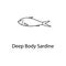 deep body sardine icon. Element of marine life for mobile concept and web apps. Thin line deep body sardine icon can be used for w