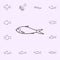 deep body sardine icon. Fish icons universal set for web and mobile