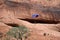 Deep in a canyon, a paraglider floats from the sky.