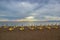 Deep Cloudy Blue Sunset Sky with Yellow Lights above Water and Many Folded Chaise-Lounges Umbrellas Beach