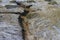 Deep erosion cracks on the ground