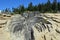 Deep Fissures at Taft Point Yosemite, California