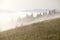 Deep fog over the mountains at sunrise, dewy meadow in the foreground. Ð¡arpathians