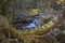 Deep forest along the Tristaina river in Andorra