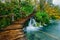 Deep forest stream with crystal clear water with pathway. Plitvice lakes