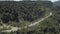 Deep forest tree landscape curved road aerial view.