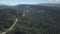 Deep forest tree landscape curved road aerial view.