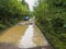 Deep in the forest. The vehicle passes through puddles in the rain forest broken bumpy road.