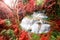 Deep forest waterfall in autumn scene at Huay Mae Kamin waterfall National Park Kanjanaburi Thailand