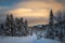 Deep fresh snow in norwegian forest. Boreal landscapes in winter