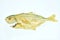 deep fried giant kingfish arranging on white background