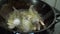 Deep frying cat fish in hot oil cooking pan