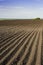 Deep furrows to the horizon in the field after plowing, vertical image