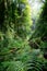 Deep gorge with vertical walls in the forest, rich in vegetation