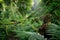 Deep gorge with vertical walls in the forest, rich in vegetation