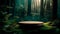deep green forest with platform for product presentation and advertising