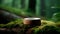 deep green forest with platform for product presentation and advertising