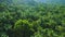 Deep green jungle forest landscape aerial view