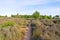 Deep, narrow path between thick heather leads to Sherwood Forest