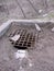 Deep pit sewer well covered with metal bars in the wasteland behind the dump