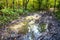 deep puddle on dirty road in autumn forest