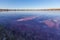 Deep purple pink surface of a salt Lake Hardy, Murray-Sunset Nat