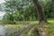 Deep rain forest have pond in Khao Samroiyod national park prachubkirikhun