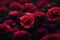 Deep Red Leafs flowers background, moody style ai generative