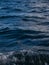 Deep Sapphire Blue Water Texture