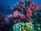 Deep sea and coral reef, colorful corals in ocean landscape