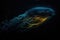 deep-sea creature swimming through bioluminescent waters, with streaks of light shining behind it