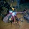 Deep-sea octopus in his own garden