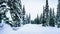 Deep snow pack and snow covered trees at the alpine village of Sun Peaks