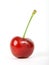 Deep strawberry red colored cherry with green stalk