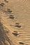 Deep tracks on grooved sand