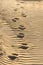 Deep tracks on grooved sand
