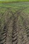 Deep tractor tire trail on a green grass in a field, Agriculture industry or work in a park concept