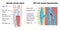 Deep vein thrombosis