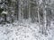 Deep winter Northern snow-covered forest in Karelia