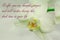 Deepest condolence white flowers on white background with text