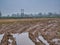 With deeply rutted, water-filled, muddy tracks in the foreground, a wet field of corn stubble on a cold, grey day in winter.