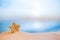 Deepwater rare starfish with ocean , beach and seascape