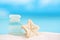 deepwater rare starfish with sea glass ocean , beach and seascape