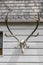 Deer antlers at a house wall in Monschau, Germany