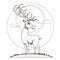 Deer. Artiodactyla mammals. Illustrations for gaming applications design for teaching aids