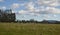 Deer at Attingham Park in Shropshire