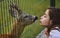 Deer bambi in zoo cage. Woman kiss white-tailed roe fawn carpeolus and wild animals concept.