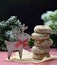 The deer brought cookies. Christmas joke. Homemade pastries and